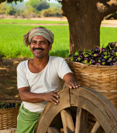 Bio fertilizers in Coimbatore